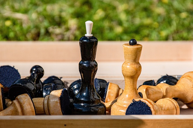 明轩无疑是 明轩无疑是