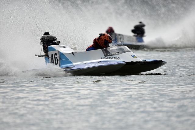 提供了良好 提供了良好