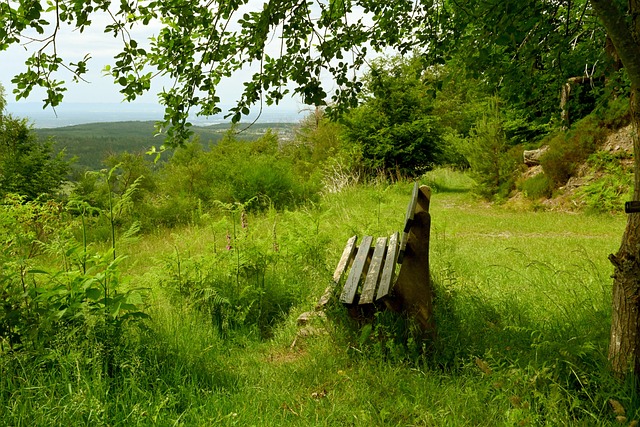 葡萄牙體育 葡萄牙體育
