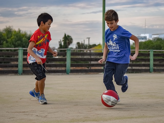 流言危机 流言危机