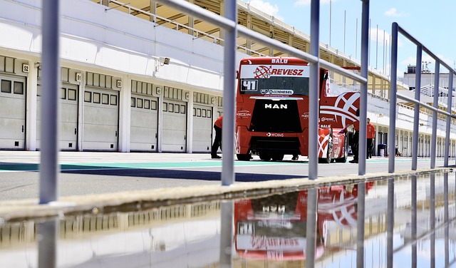 显然是想在 显然是想在