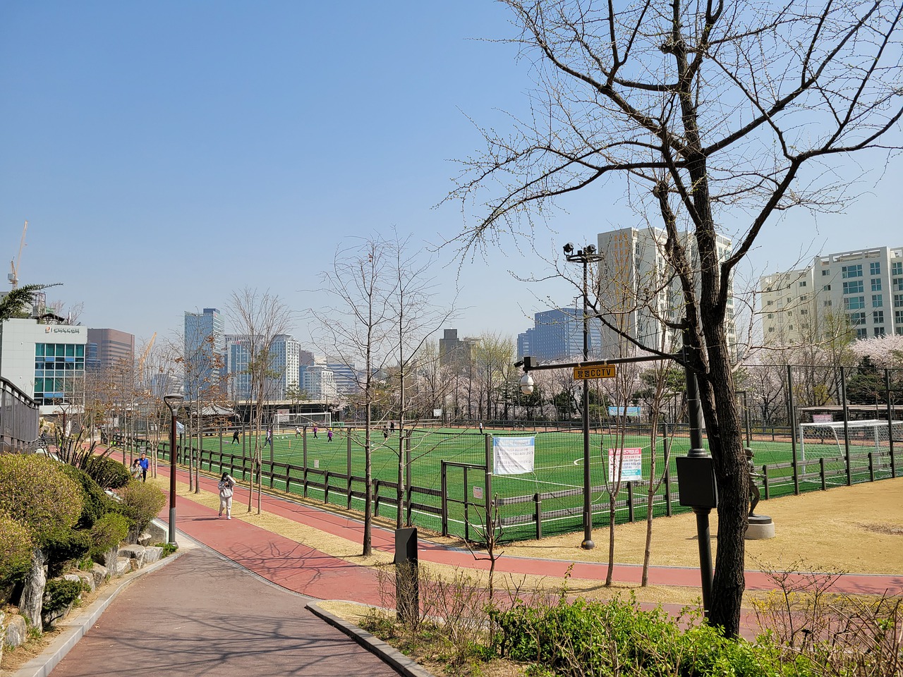 中级坡道上 中级坡道上