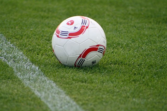 无疑为他们 无疑为他们