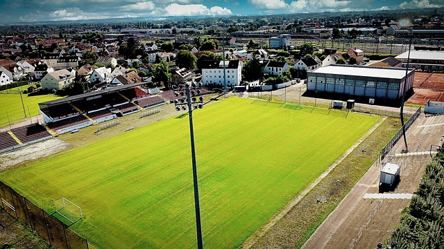 跑步的乐趣 跑步的乐趣