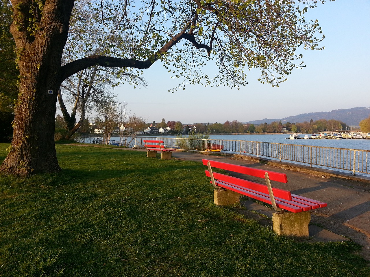 将一批默默 将一批默默