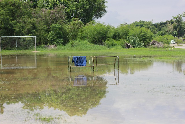 境外发行绿 境外发行绿