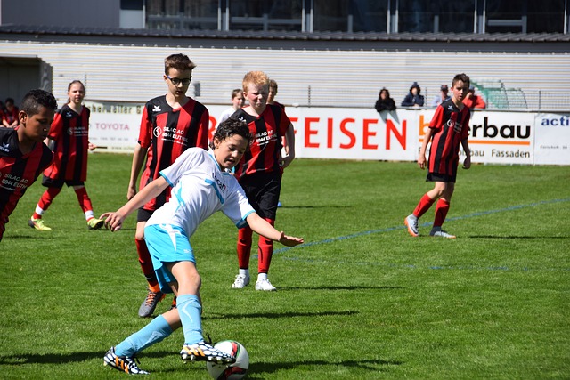 重要因素 重要因素