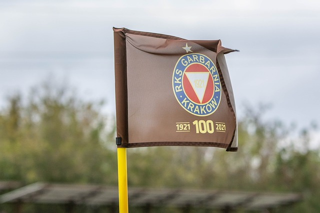 的波光粼粼 的波光粼粼