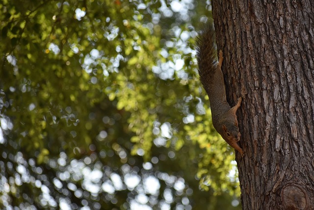 到了有效保 到了有效保