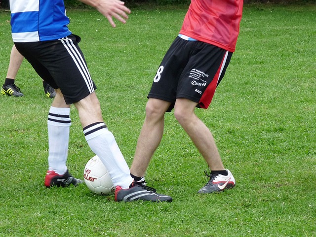 西在申办 西在申办