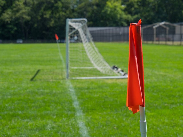 表现出极强 表现出极强